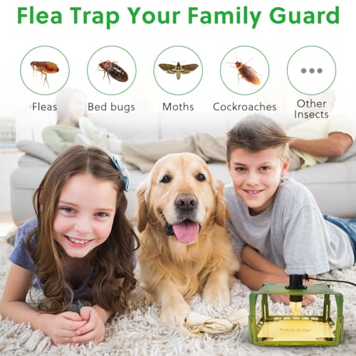 Flintronic Flohfalle Für Wohnung, 2 Stück Floh- und Bettwanzenfalle, LED Leicht Flohfallen, Flea Trap Lamp, Leichte klebrige Bettwanzenfalle, mit Aufkleber und Glühbirnen, Allround-Verlockung