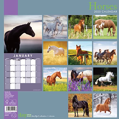 2023 Horses 12" X 12" Square Wall Calendar, No Plastic, Pony Equine Gift Planner Organizer #TOP1