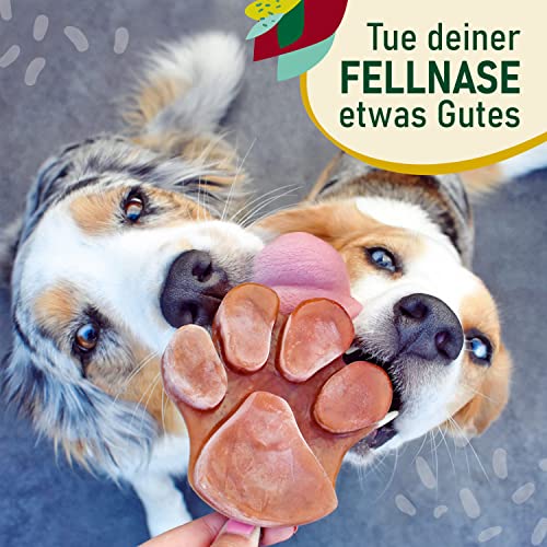 SmoothieDog Eisform aus Silikon + 3xHuhn und 3X Trinkpause(Ente) je 250ml Hundesmoothie- Backform, Hundekuchen backen, Hundeeis selber Machen- BPA-frei, Eisform, Herzform, Pfotenform