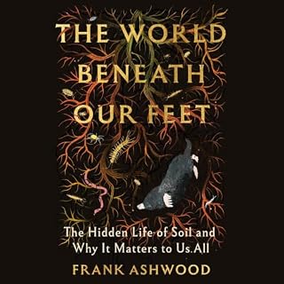 The World Beneath Our Feet cover art