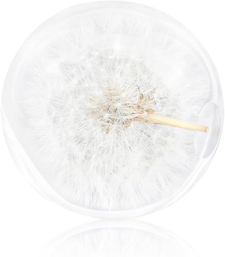 OnIUeZky 1PC Bola de cristal de diente de león pisapapeles Dreamball resina única regalos para niños amigos 9CM