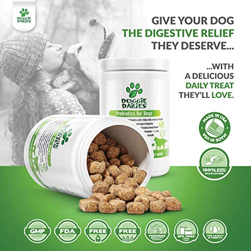 Doggie Dailies Probiotics for Dogs, 225 Soft Chews, Advanced Dog Probiotics with Prebiotics, Promotes Digestive Health, Supports Immune System and Overall Health (Duck) - Thumbnail 2