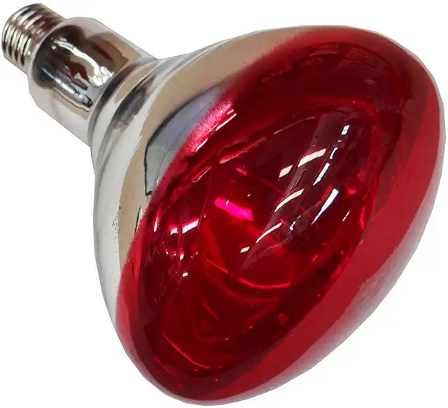 Lámpara Infrarroja Philips 250W E27 - Bombilla de Calor Roja