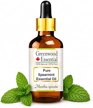 Greenwood Essential Pure Spearmint Essential Oil Mentha spicata with Glass Dropper Steam Distilled 100ml 3.38 oz