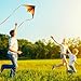 SGftre Red Large Delta Kite Flying Toys for Kids & Adults Easy to Fly，Kites Handle Line Outdoor Sports Kite Nylon Professional Wind Kites