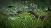 Jurassic World Evolution