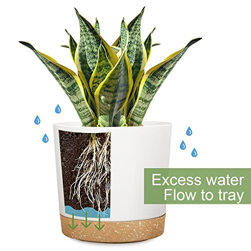 Demaciya 8 Inch Plant Pots, 2Pack Planters For Indoor Plants With Drainage Holes And Removable Base, Saucer Modern Decorative For Outdoor Garden Planters #TOP2