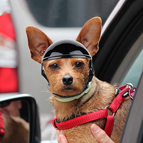 Namsan Small Pet Dog Helmet With Ear Hole Motorcycle Dog Helmet Multi-Sport Dog Hard Hat Outdoor Bike Doggy Cap For Dogs, Small #TOP6
