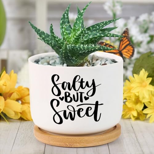 DreamAutumn Salty But Sweet Planter Ceramic Round Plant Pots with Drainage Holes and Bamboo Tray Planting Small Flower Pots for Home Windowsill Desk Garden Indoor Outdoor Use