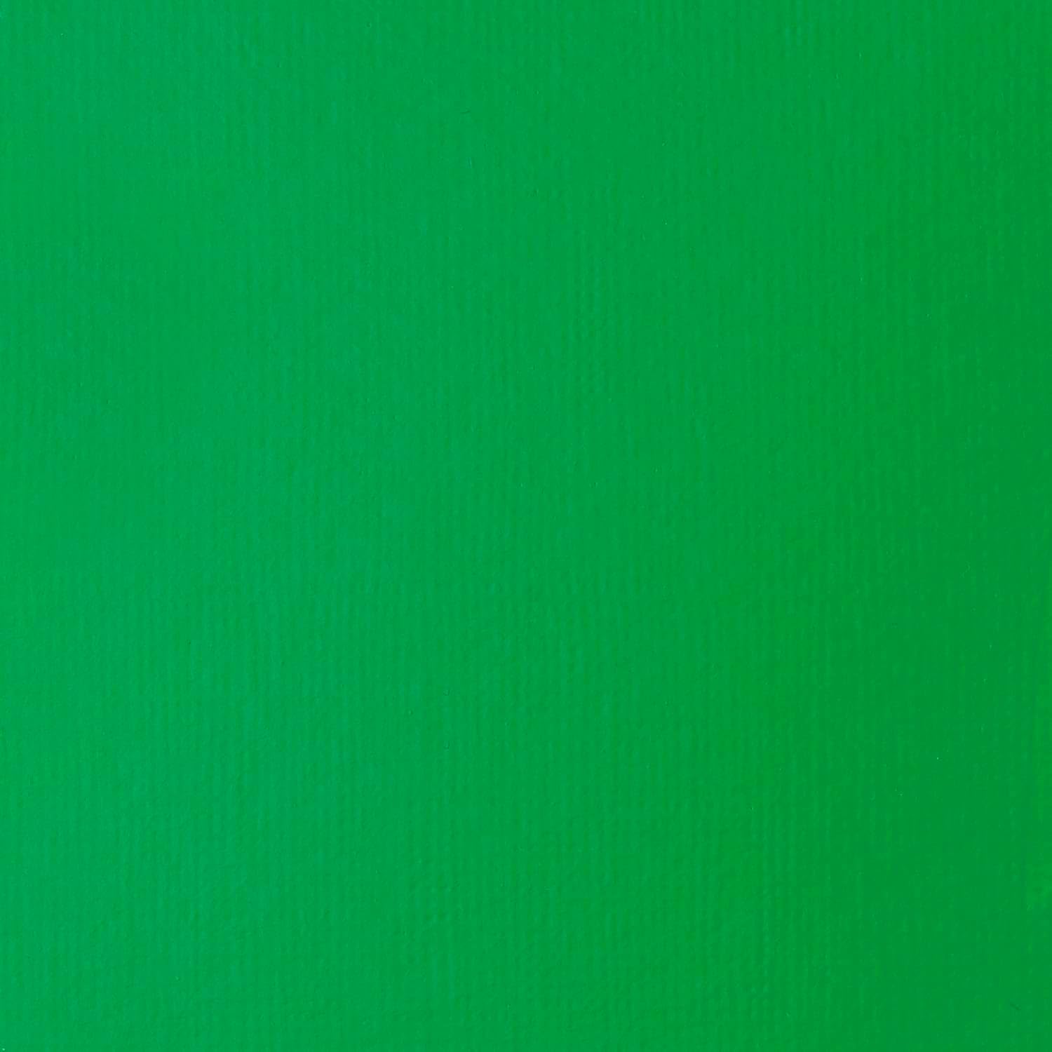 Liquitex Basics Fluid 4oz Light Green Permanent Acrylic Paint