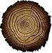 Sizzix, Multi Color, Bigz Die with Embossing Folder , Tree Rings by Tim Holtz, One Size