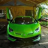 need for speed 2019  Need for Speed
