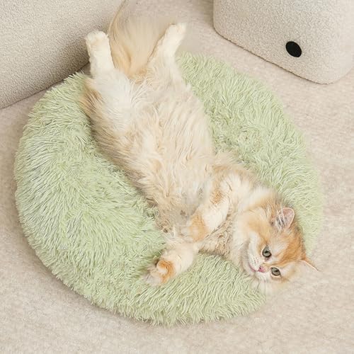 [ADSNS] Lxbh lR LbgEhxbh ybg\t@ ybgxbh  g Eh ӂӂ Q ې􂢉 ^ L p ~ h[ic^ \t@ ybgpi H 60cm ~ ۉh J[7 ^ Lp