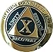 RecoveryChip 10 Year AA Medallion Elegant Black Gold Silver Bi-Plated Alcoholics Anonymous Chip