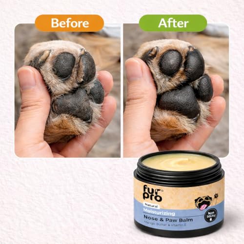 Image of Pet Nose & Paw Balm | Heals, Moisturizes & Softens Dry Paws, Cracked Elbows & Chapped Noses | Enriched with Coconut Oil, Shea Butter, Aloe Vera, Beeswax, Vitamin E & Herbal Oils - 50g
