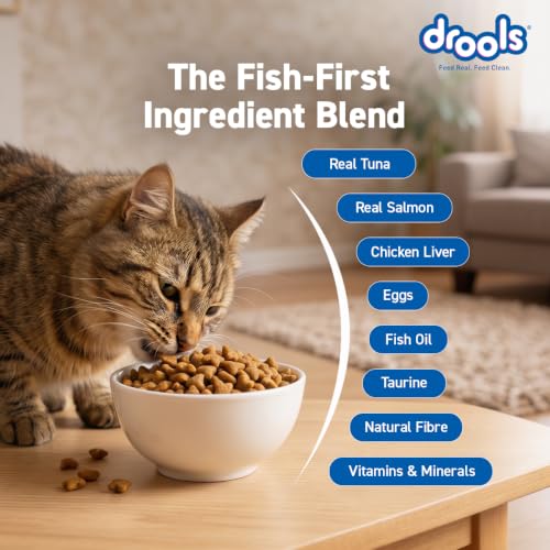 Image of Drools Adult Dry Cat Food (2.8kg+1kg) 3.8kg | Tuna & Salmon | Better Vision & Shiny Coat | Complete Nutrition | No Preservatives