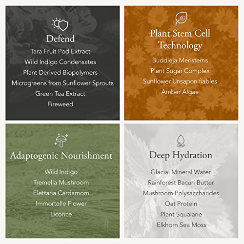 Caldera + Lab The Base Layer | Men's Organic Face Cream Moisturizer For Dry, Sensitive, & Normal Skin – Vegan, Natural & Antioxidant Packed Facial Skincare #TOP2