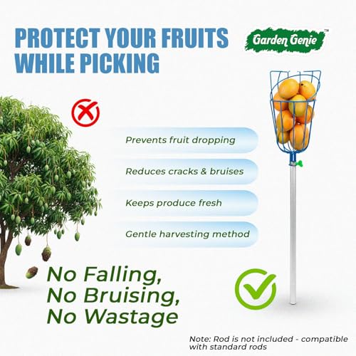 Image of Garden Genie Fruit Plucker from Tree | Metal Fruit Picker Basket Tool with Adjustable Clamp | Lightweight Fruit Catcher for Mango, Lemon, Apple & More