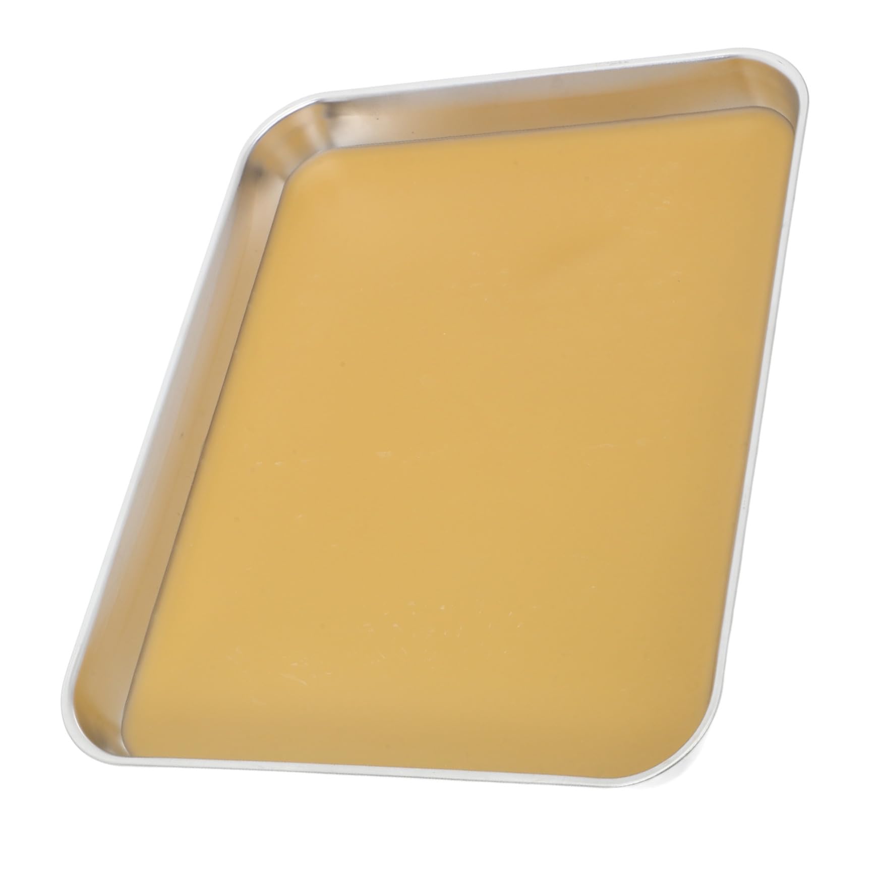 Hemobllo Plateau De Dissection Acier Inoxydable Avec Revêtement Cire Pour Laboratoire Plateaux De Dissection Pour Étudiants Et Rangement