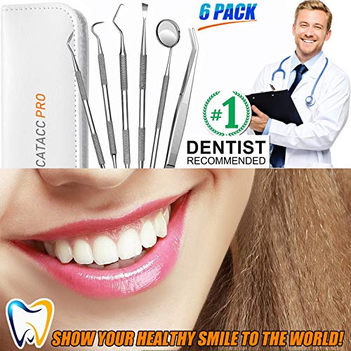 Dental Tools, 6 Pack Teeth Cleaning Tools Stainless Steel Dental Scraper Tooth Pick Hygiene Set with Mouth Mirror, Tweezer Kit for Dentist, Family Oral Care, Dogs - with Leather Case