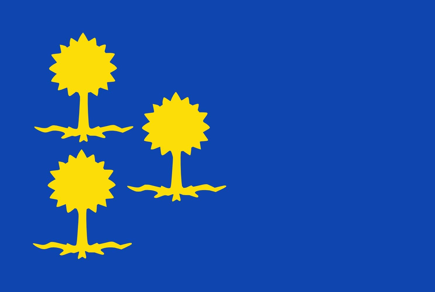 Drapeau Ambt Delden pavillon historique finitions haut de gamme