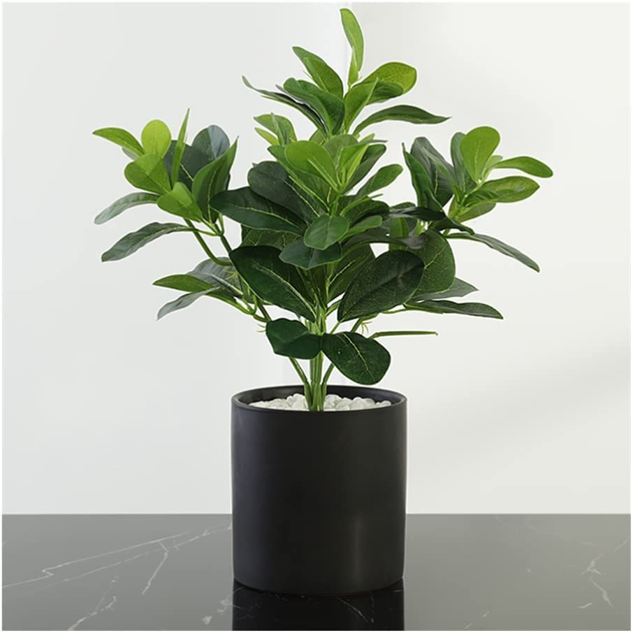 Kunstplanten kopen | Gratis verzending v.a. €75