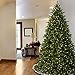 National Tree Company 7.5 ft Pre-Lit Jersey Fraser Fir Artificial Christmas Tree, 1,250 Clear Lights, 3,144 Tips, Includes Stand, Green