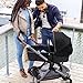 Pivot Xpand Modular Travel System with LiteMax Infant Car Seat with Anti-Rebound Bar (Ayrshire Black)