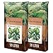 Green Home Monstera Erde 36L &ndash; Premium Substrat f&uuml;r Monstera, Aroiden & Tropische Zimmerpflanzen; optimale Drainage, Langzeitn&auml;hrstoffversorgung & pH‑Balance. F&uuml;r Umtopfen & Hydrokultur ideal!
