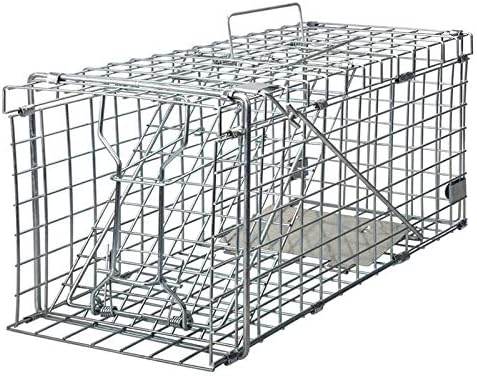 Gingbau Heavy Duty Live Animal Trap for Squirrels, Small Rabbits and More