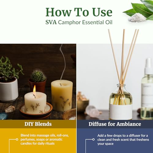 Image of SVA Camphor Essential Oil, Huge Bottle, Large Size, 16 Fl Oz (473 ml) | Camphor Oil for Diffuser, Humidifier, Steam, Spray, Body Massage, Hair, Skin, Soap Making, Candle Making & DIY Blending