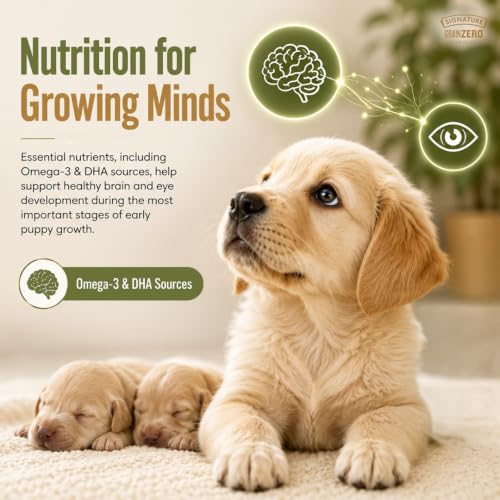 Image of Grain Zero Starter Dry Dog Food 1.2kg | Real Chicken, Egg & Vegetables | 48% Meat Inclusion, No Grain Formula, Gluten-Free | Promotes Healthy Skin & Coat | for Puppy & Mother