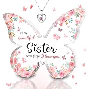 Meaningful Gifts Set, Butterfly-shaped Plaque & Necklace for Sisters, Adults, Women, Fashion Jewelry Necklace