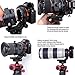 iShoot Lens Collar Tripod Mount Ring Compatible with Canon EF-E Sigma MC-11 Mount Converter Lens Adapter Ring, Lens Support Holder Bracket Bottom is Arca-Swiss Fit Quick Release Plate Dovetail Groove