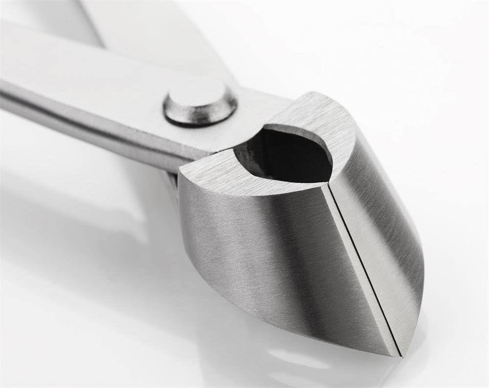 Branch Cutter Master's Quality Level Bonsai Tools Straight Edge 205 Mm (8") Manufactured by TianBonsai