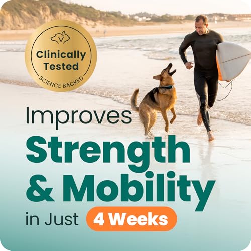 VetriScience Extra Strength Hip & Joint Supplement for Dogs – Supports Joint Health & Mobility, Vet-formulated w/Glucosamine, MSM & Green-Lipped Mussel – Chicken Flavor, 120 Chews