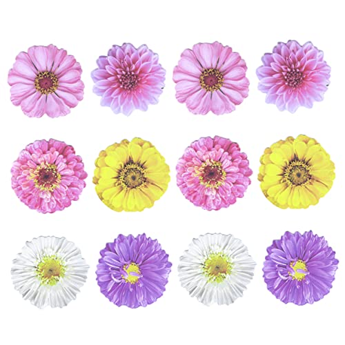 Generic bZ[Wm[gpbh 12Zbg lHuyt チ ԕfUC t 3Dt[ w?pi ՎcȂSXebJ[ ƒwZItBXΉ ①Ɋ\t\