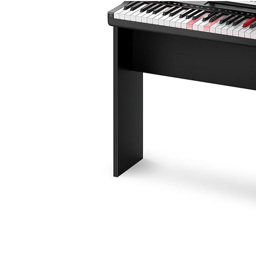Donner DK-10S Light up Piano Keyboard for Beginners, Portable 61