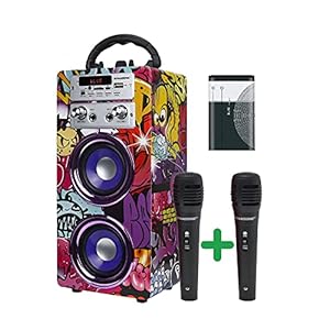 DYNASONIC (3e generatie) | Draagbare karaoke-Bluetooth-luidspreker met microfoons | USB-poort en SD-kaartsleuf, FM-radio…