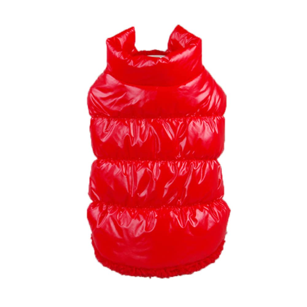Vêtements pour chiens de petite taille pour balades hivernales