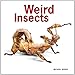 Weird Insects