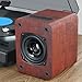 Saiyin Speakers for Vinyl Record Player, Bluetooth Turntable Speakers with 45 RPM Adapter and AUX Input(Turntable not Included)