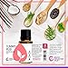 Rocky Mountain Oils Tummy Rub Essential Oil Blend with Essential Oils for Diffuser and Topical - Digestive Oil, Essential Oil - 15ml