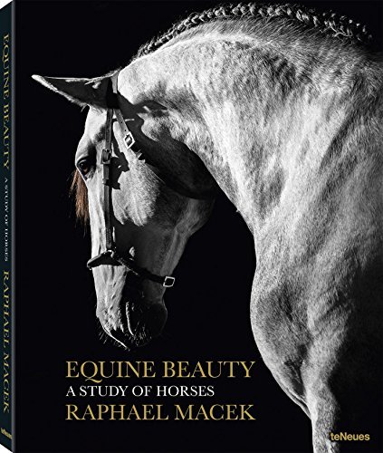 Equine Beauty - Small Edition by Raphael Macek (2016-05-31)