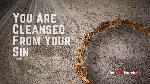 You Are Cleansed From Your Sin