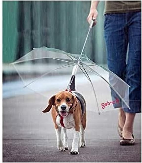 Freedog dog fd1200130燯mbrella Strap, for dog, Color: Transparent