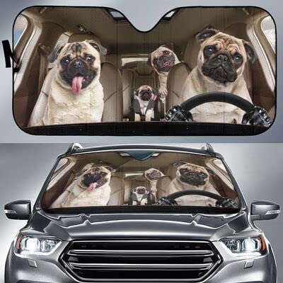 Pare-soleil voiture universel avant intérieur protection auto été taille M imperméable