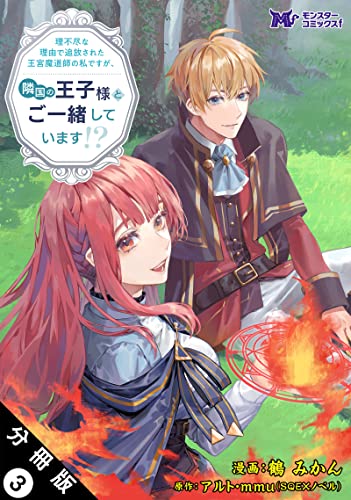 理不尽な理由で追放された王宮魔道師の私ですが、隣国の王子様とご一緒しています!?(コミック) 分冊版 : 3 (モンスターコミックスf)