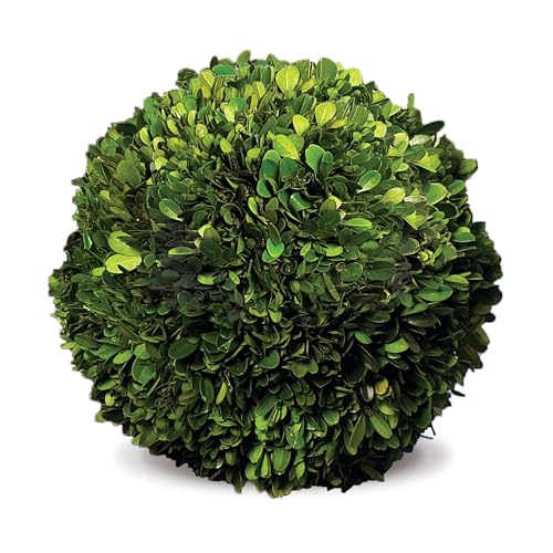 Napa Home & Garden Boxwood Ball 12' 12 Green