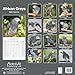 African Greys Calendar 2025 | Square Bird Wall Calendar - 16 Month